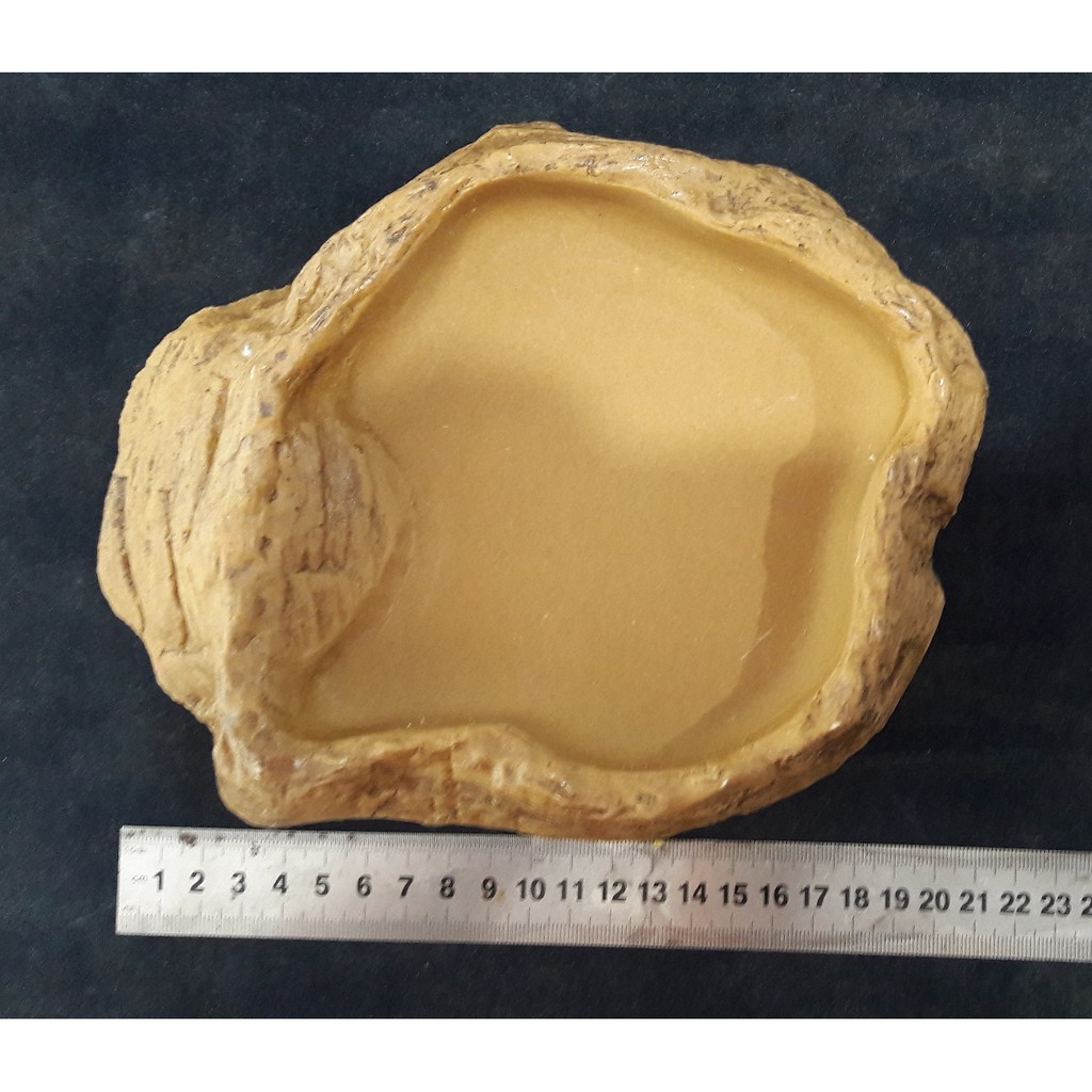Water Dish Medium Tempat Minum Reptile Panana BD Iguana Crocodile Skink - YS