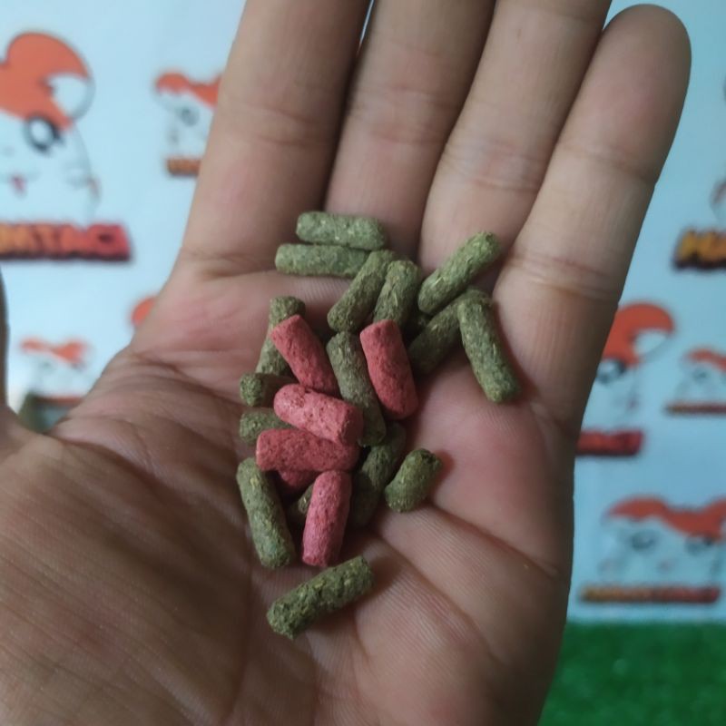 DRIED VEGETABLE &amp; FRUIT | MAKANAN HAMSTER - GERBIL | CAMILAN HAMSTER - GERBIL