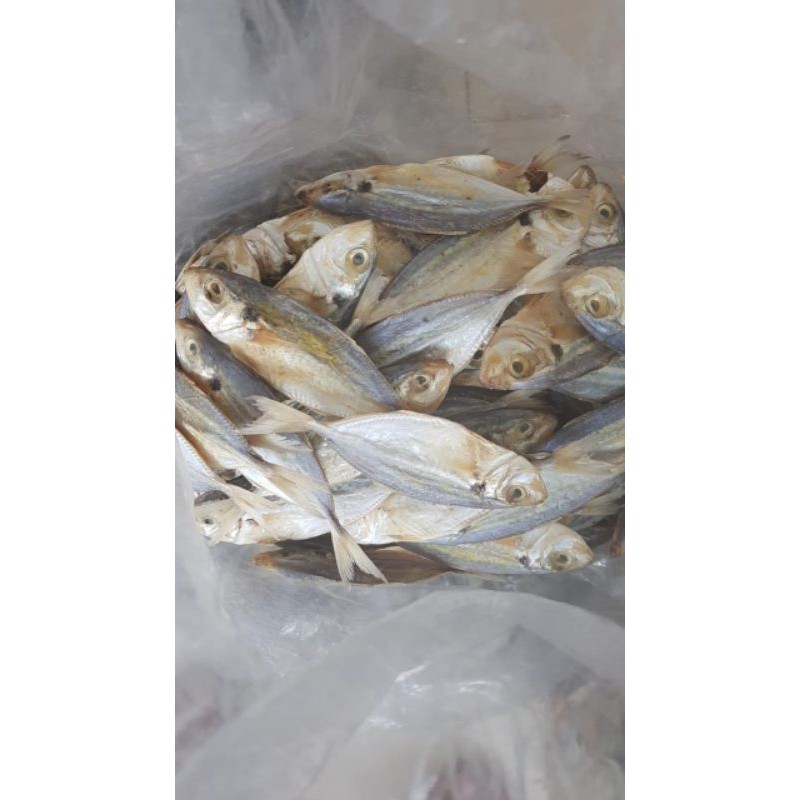 

IKAN ASIN SELAR (CANDANG) FRESS