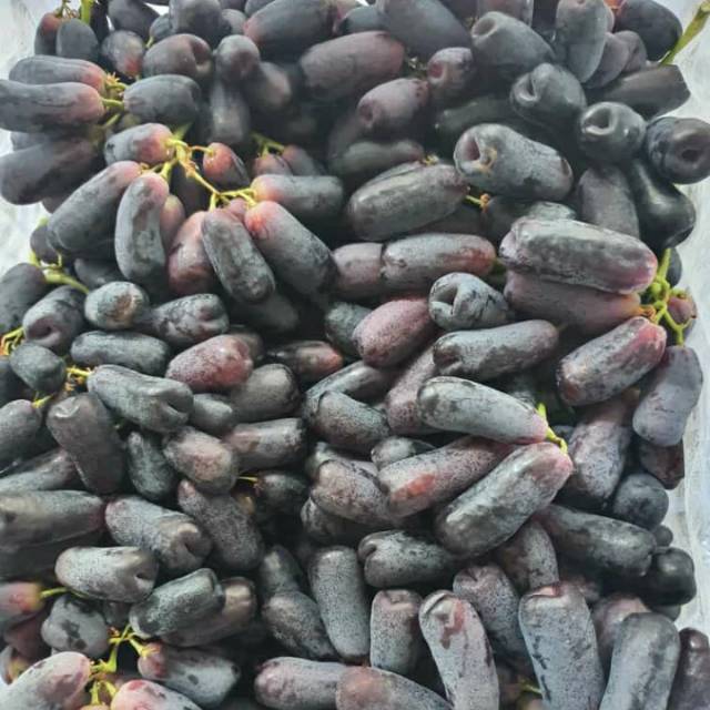 

Anggur jari hitam