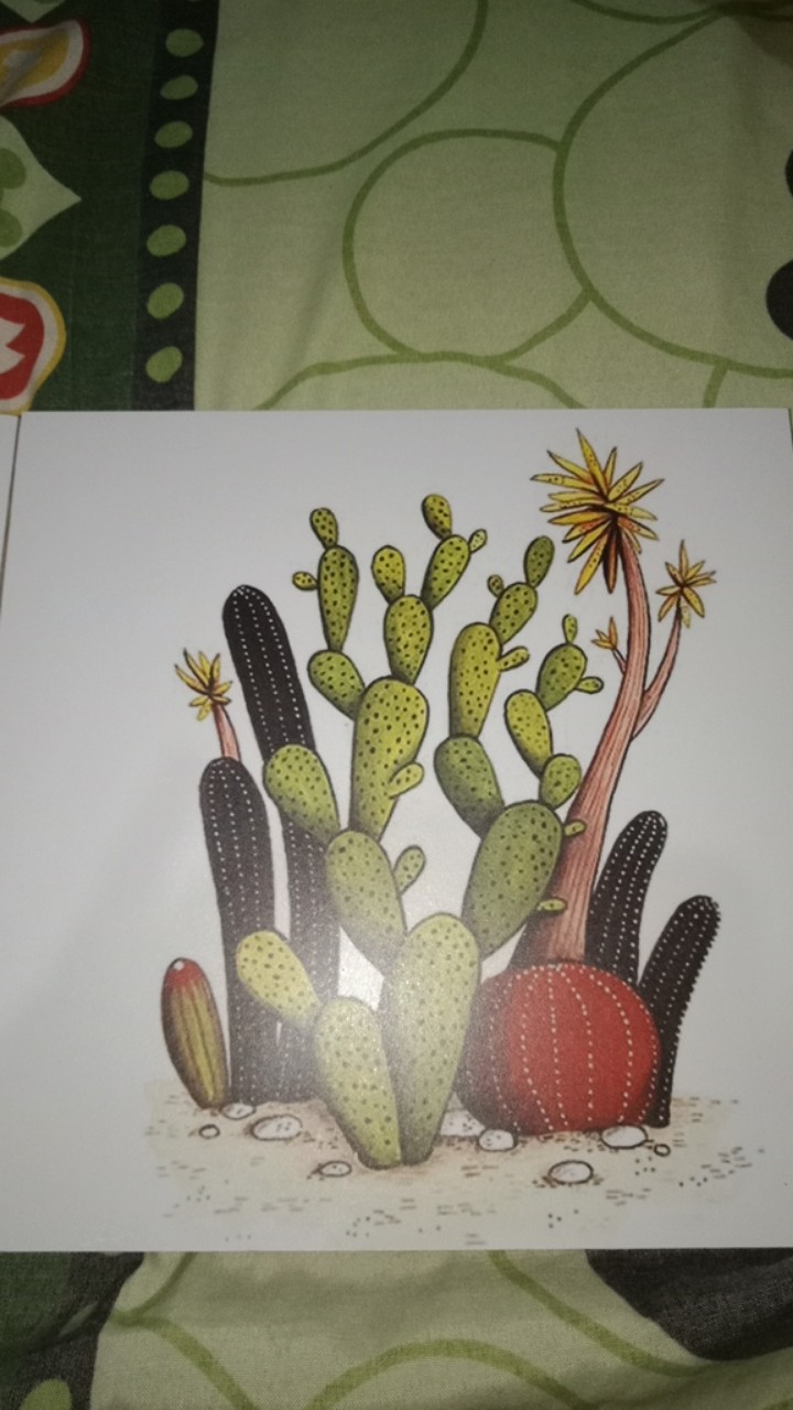 Wp Project Hiasan Dinding Walldecor Pajangan Dinding Shabby Chic Kaktus Succulents