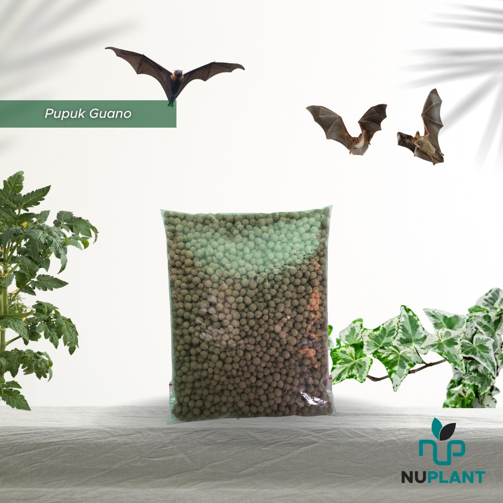 Nuplant Pupuk Organik Guano Penyubur Tanah dan Media Tanam