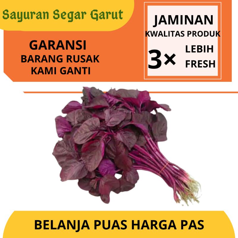 

Bayam Merah Sayuran Segar Fresh Murah per 1 ikat by Sayuran Segar Garut