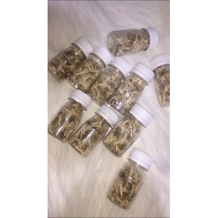 

jamu mpot