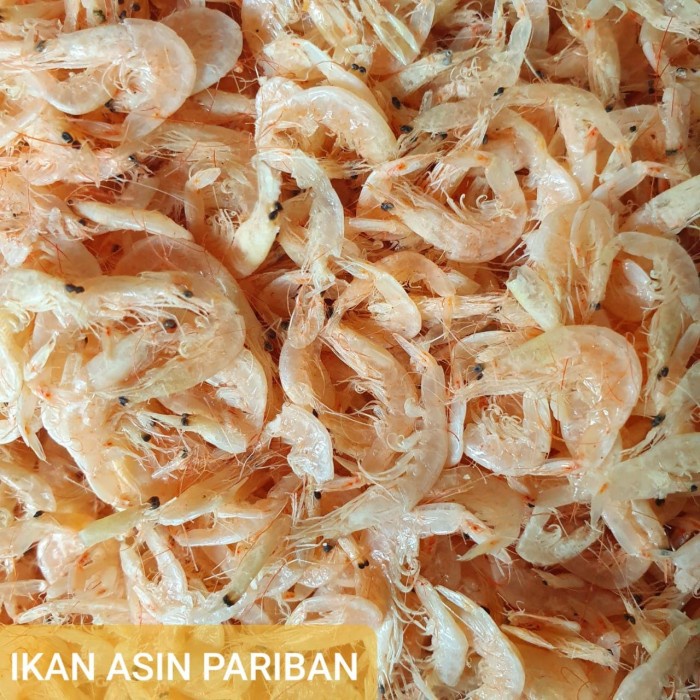 

UDANG REBON 1KG