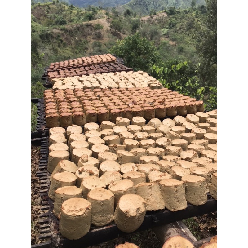 

gambir murni/katecin original di peras langsung dari kebun nya dari sari gambir pilihan