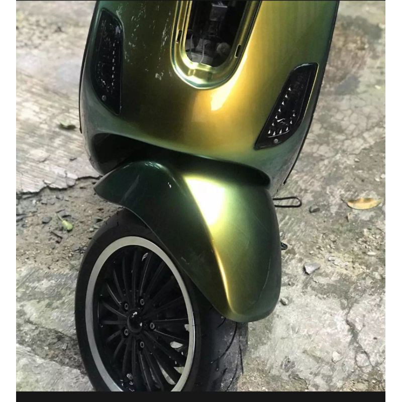 cat bunglon chameleon