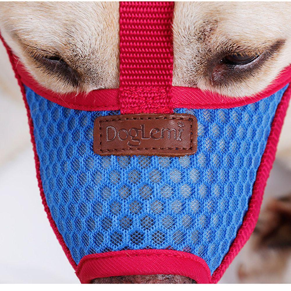 Solighter Anjing Moncong Upgrade Drinkable Adjustable Anti-lick