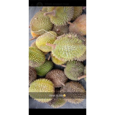 

buah durian murah meriah