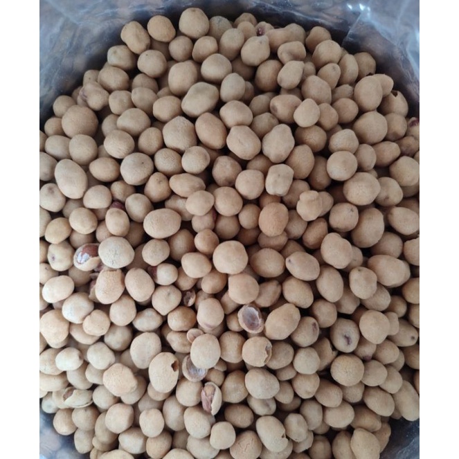 

kacang atom