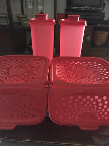 Breezy Pour Malaysia (1 Pcs) Wadah Minyak Tupwr