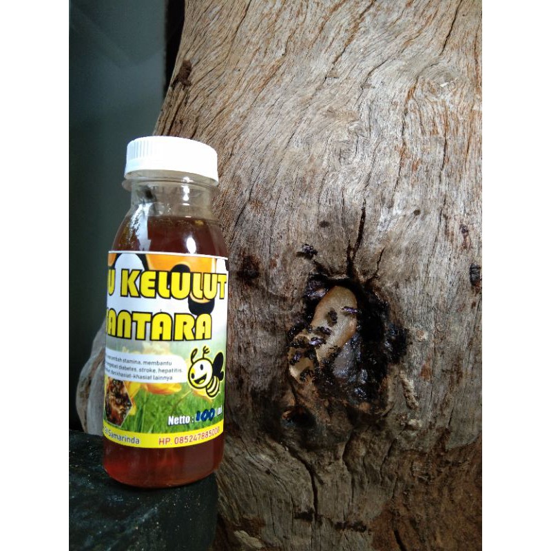 

Madu Kelulut Nusantara 100 ml