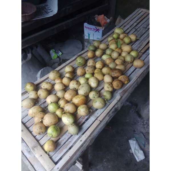

jeruk lemon