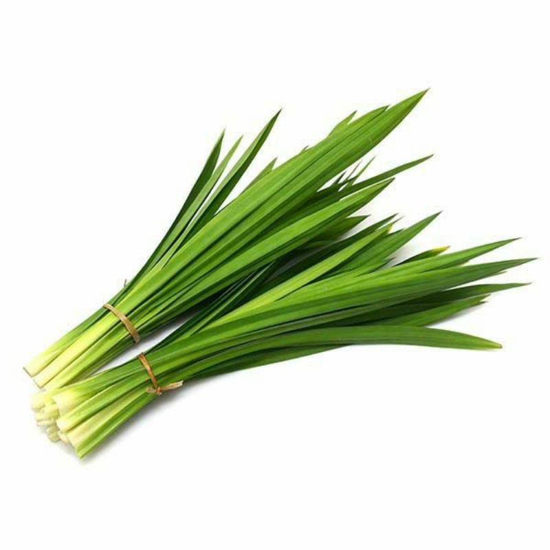 

DAUN PANDAN SEGAR MURAH
