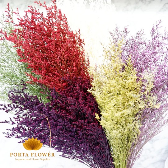 PRESERVED CASPEA / Dried Flower / Bunga Kering Per bunch