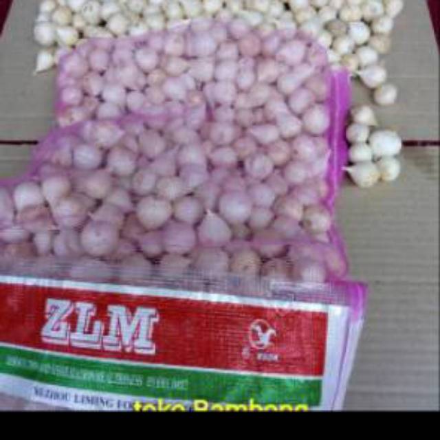 

Bawang putih tunggal 500 gram