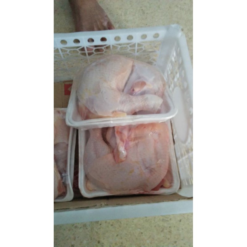 

Daging Ayam Kampung /ekor