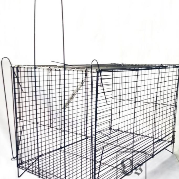 Kandang Jebakan/Perangkap Kucing/Musang/Tikus/Kelinci Lipat Jumbo Lc