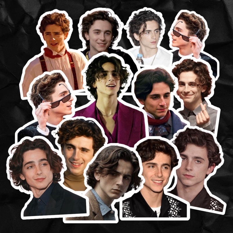 

STICKER TIMOTHEE CHALAMET sticker pack stiker anti air sudah dipotong by 777stickers