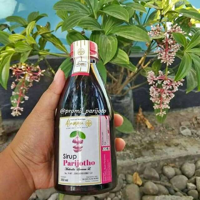 

SIRUP PARIJOTO ASLI