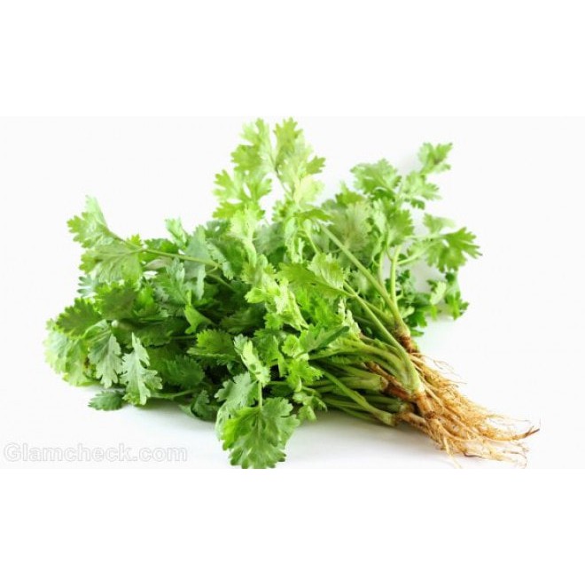 

TERBARU DAUN KETUMBAR CORRIANDER CEBAN ( SAYUR - SAYURAN CURAH ) !