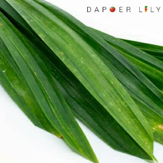 

Daun pandan