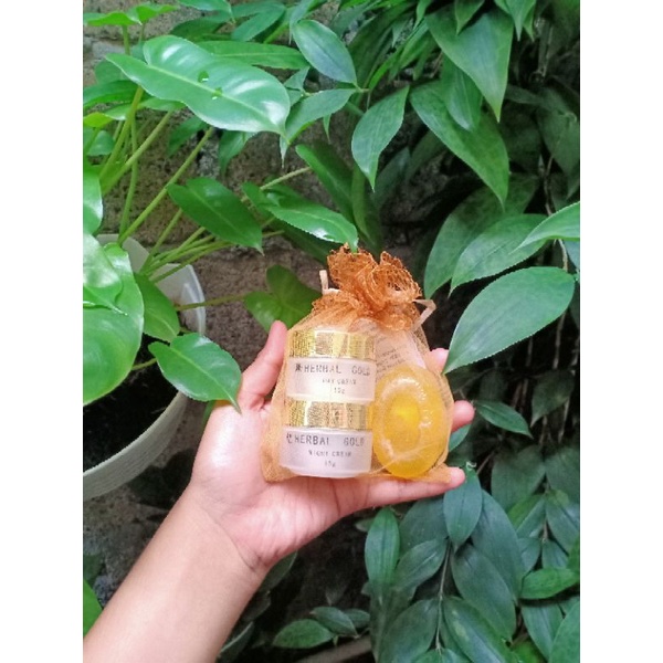 CREAM HERBAL ALGAE GOLD