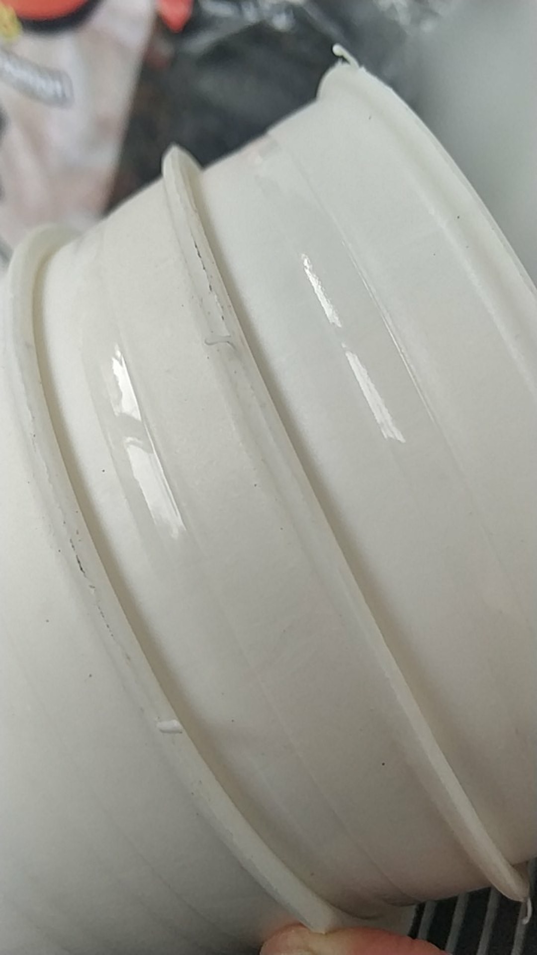 Pot Bunga Tanaman Pirus Madu Tinggi 12 Putih