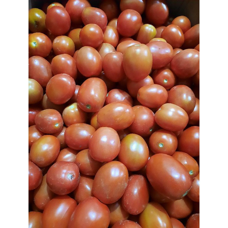 

Tomat500gram