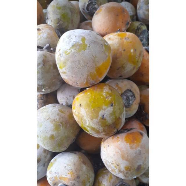 Buah Kesemek segar 1kg