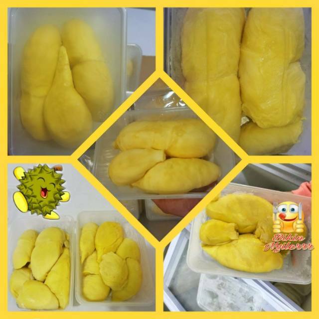 

Durian Montong Palu Parigi Kualitas Premium (Bergaransi)
