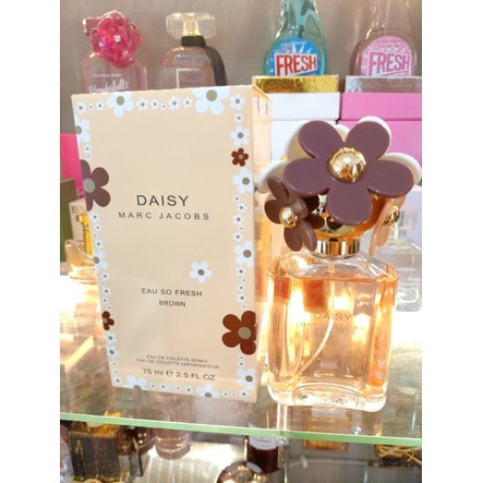 daisy bunga coklat