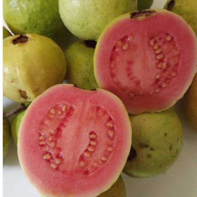 

Jambu merah