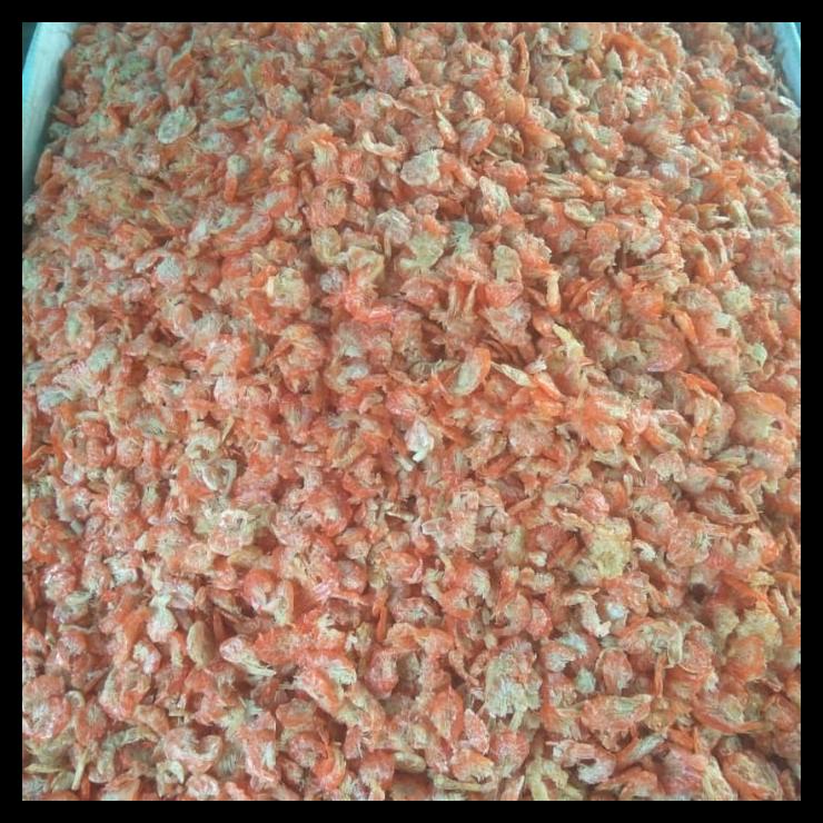 

DISKON TERBATAS !!! EBI UDANG PONTIANAK TERLARIS