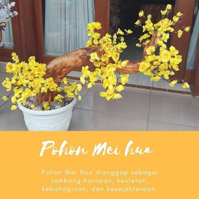 

Pohon mei hua / Bunga Sakura