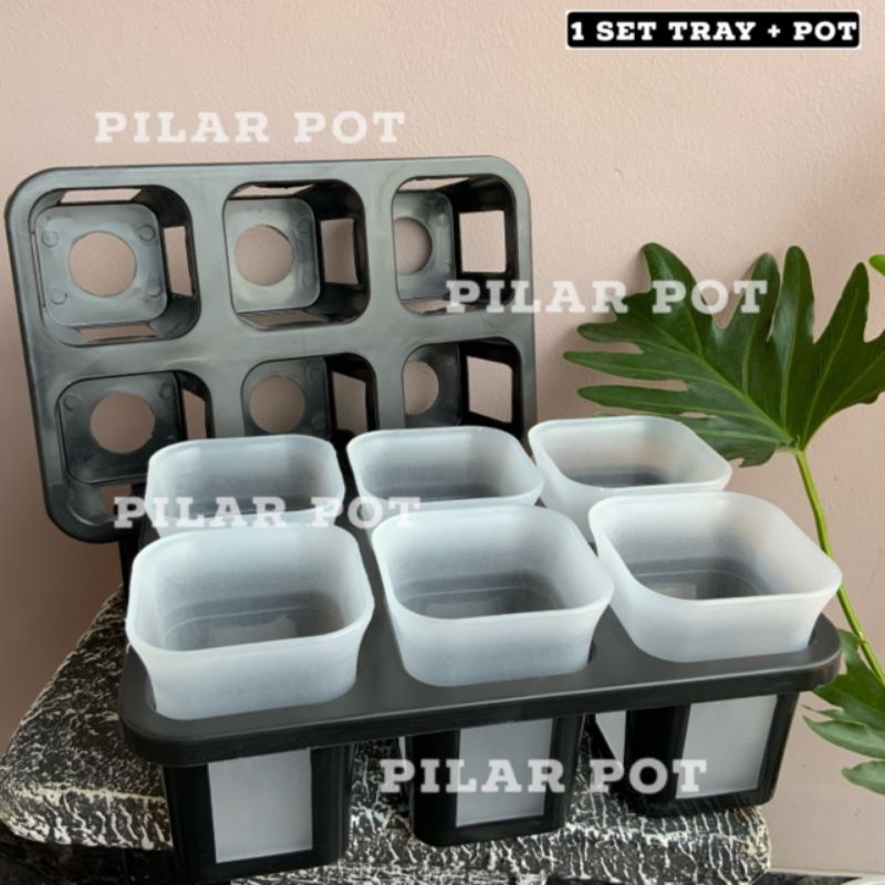 1 set Tray + POT BUNGA NKT KOTAK 7 CM BENING TRANSPARAN | tray semai bibit