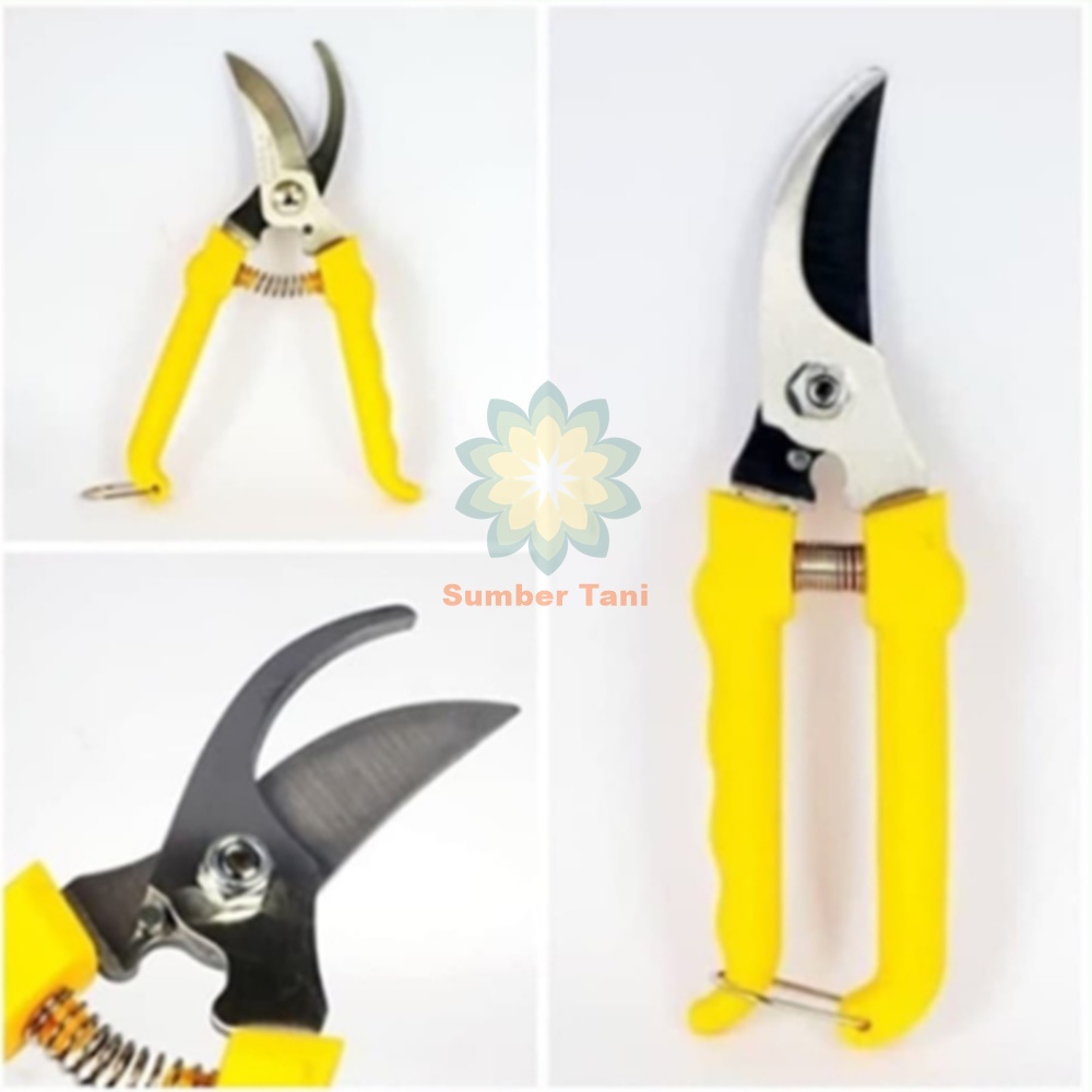 Gunting Stek Batang Dahan Pohon PROHEX Kecil