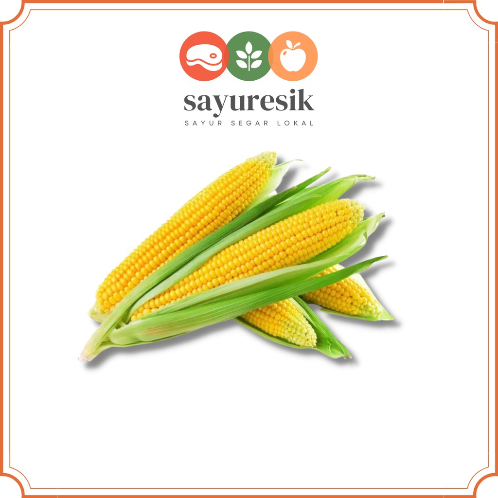 

[Pasar Kota Gresik] Jagung Sayur Kupas