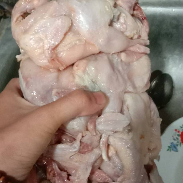 

10 potong daging puyuh utuh lengkap