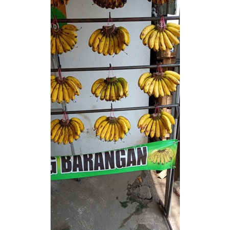 Pisang Barangan Medan per sisir