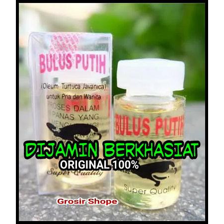 4Wd6 Minyak Bulus Asli Pengencang Payudara Putih Kalimantan Original 6Jsw