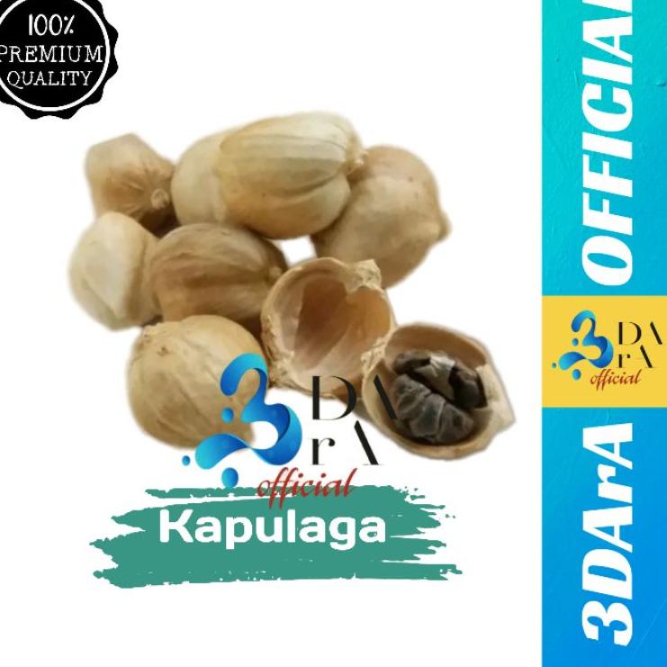 

BARU 8839 Kapulaga Jawa 100gr - Kapulaga Lokal Premium ㅉ