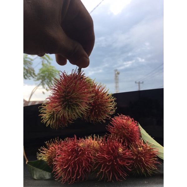 

beras