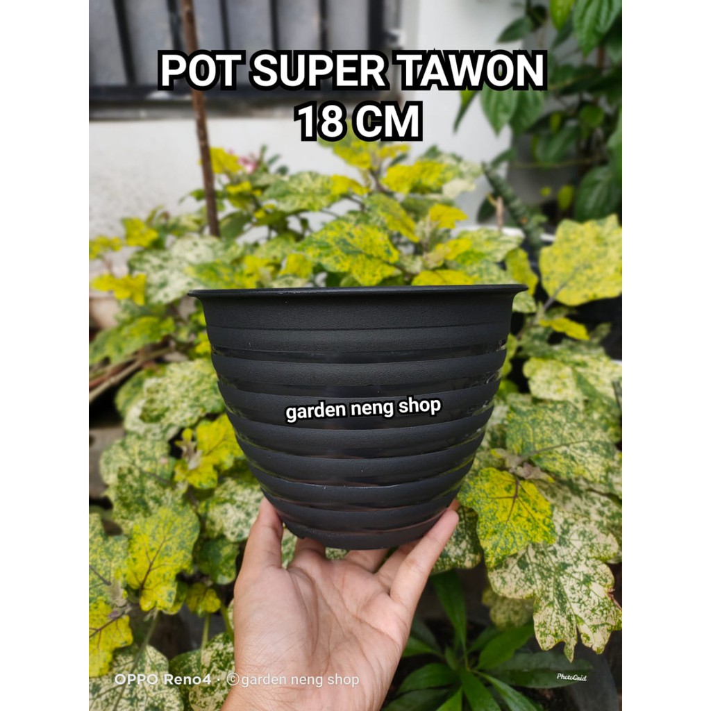 POT SUPER TAWON 18 CM HITAM- GROSIR POT TAWON MURAH/POT TAWON 18 CM