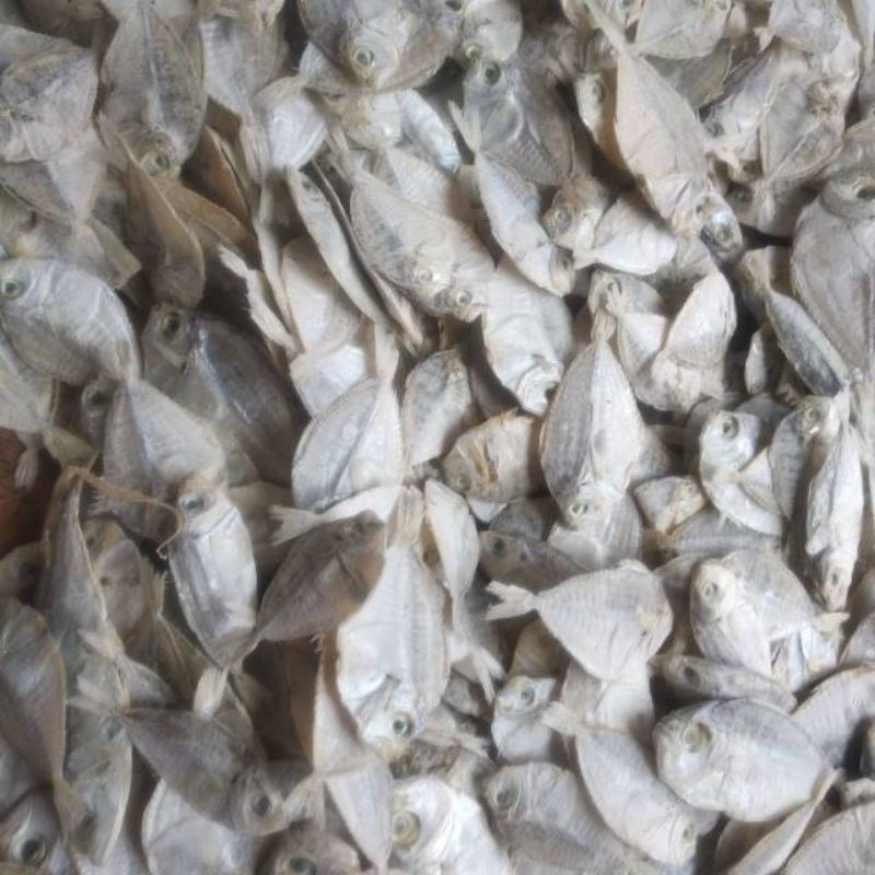 

IKAN asin petek 500gr