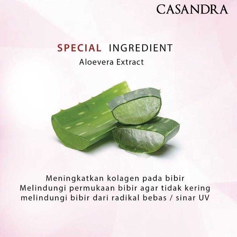 Best Terlaris.. Lipcream Casandra Velvet Matte 08X