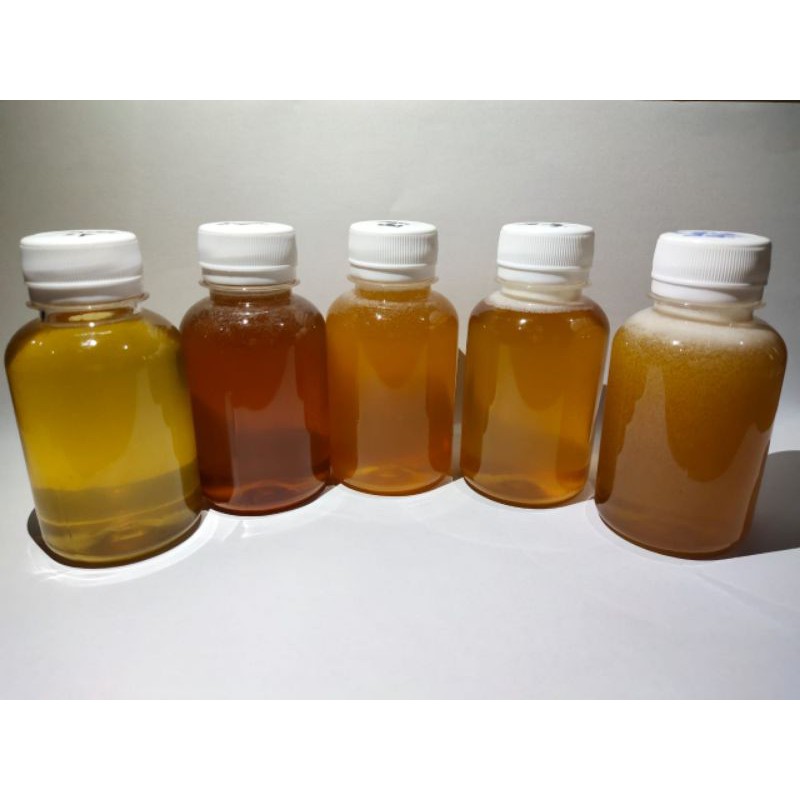 

[Hemat] 200 gr Madu Murni Apis Melifera | Raw Honey asli