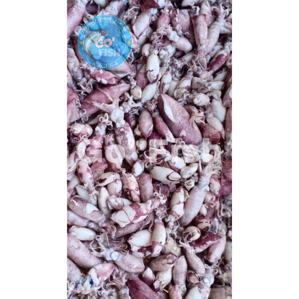 

Baby Cumi Asin 1kg
