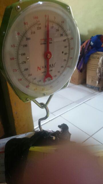 Timbangan Gantung 100kg 100kg Hanging Scale - Alat Ukur Berat Nankai