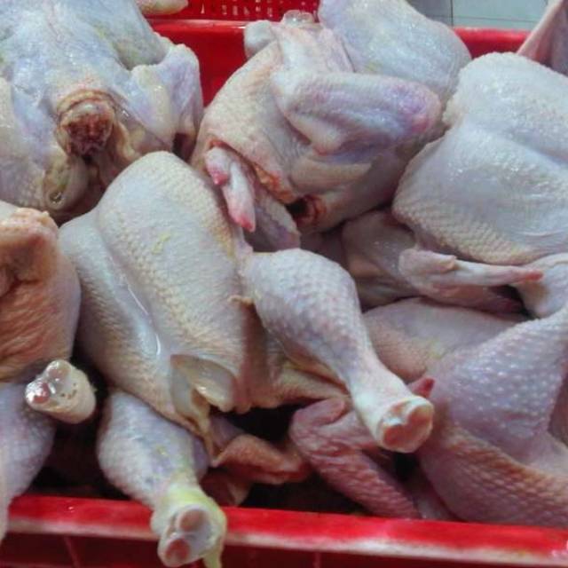 

Ayam super utuh ukuran 2 Kg